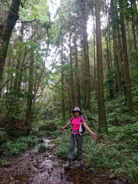 貴妃山、那結山O走1478328