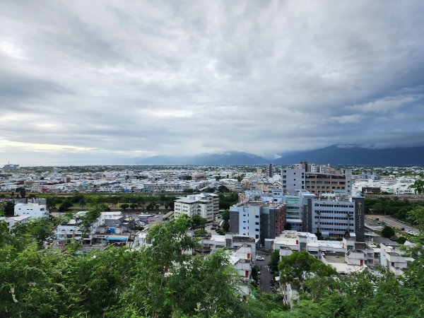 台東｜鯉魚山2638621