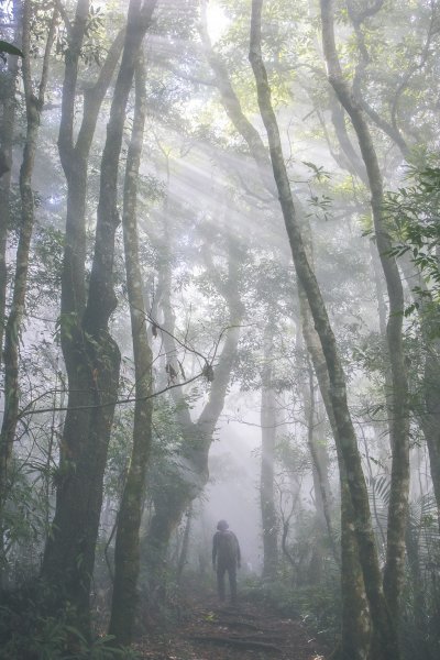 20201108-[新竹] 高島縱走1628482