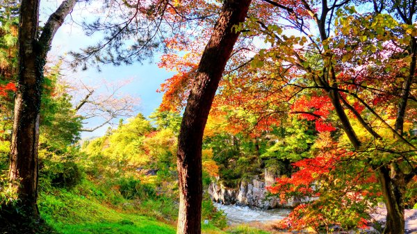 岩手縣嚴美溪2930216