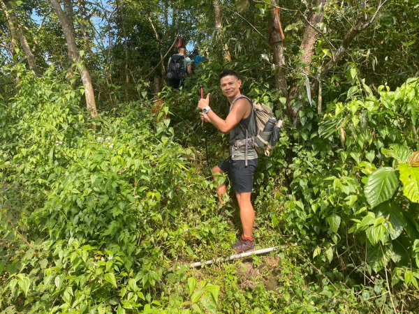 三寶山(烏心石山.鳩州嶺.尖凍山)步道【變成夢魘的大秘寶】2639870