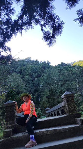 溪頭自然教育園區2938879