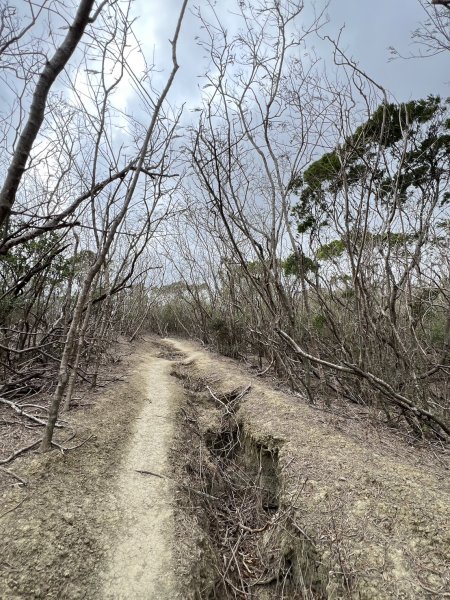 小百岳-大山母山2752551