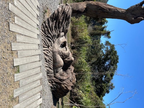 雪山坑登山步道2984435