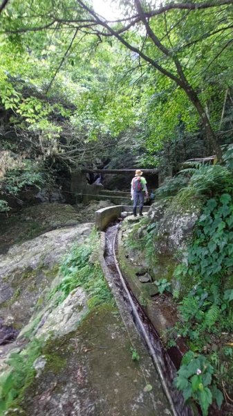 楓樹湖古道登面天北稜上面天山2782261