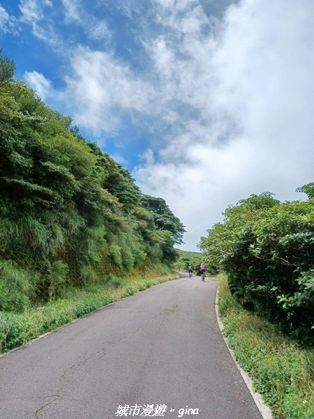 【台北北投】搭捷運公車爬山趣。 小百岳集起來。編號1小百岳~大屯山主峰步道1762763