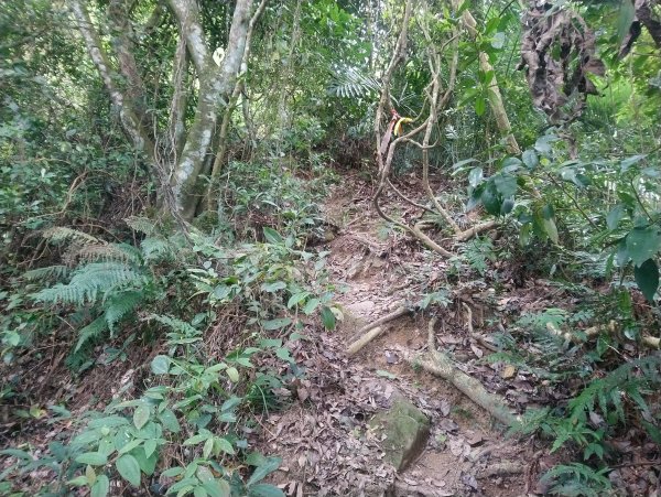 暗影山 小百岳 三等三角點4181690854