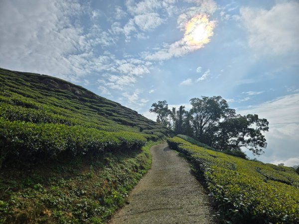雲嘉六連峰（小百岳）2928005