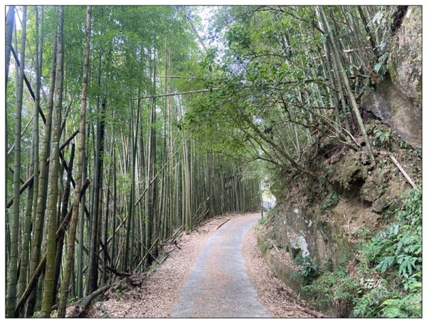 大凍山、頂湖步道 O型ㄧ圈2984157