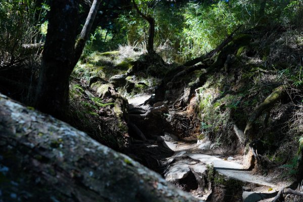 南橫三星 | 前緣再續。關山風月登庫哈諾辛、塔關山順訪中之關。1780110