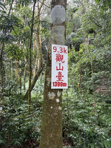 20251227尾寮山登山步道2970546