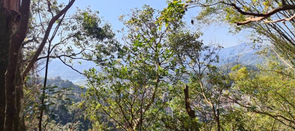 新店獅頭山(小獅山)步道2694747