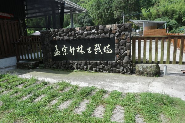 20260514-15-16 杉林溪花之饗宴+溪頭森林療癒+孟宗竹林古戰場之D3