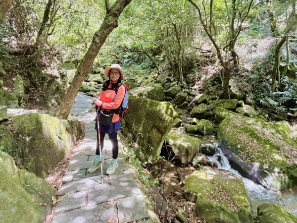 內湖圓覺尖 鯉魚山 鯉魚山東峰走一圈3044199