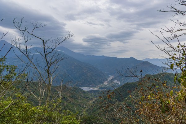 [南投]後尖山3015585