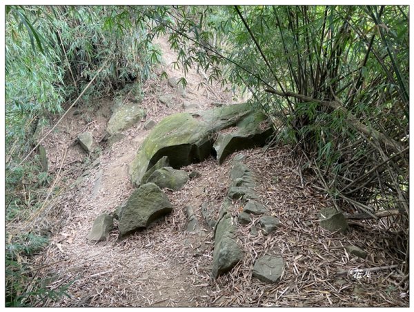 旗靈縱走(旗尾山、福美山、金字面山、人頭山、靈山)2996499