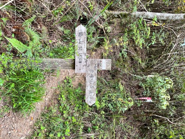 20250503_李棟山步道（新竹小百岳）2855862