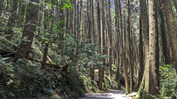 橫沙笛縱走 (木馬古道、橫嶺山、沙蓮山、笛吹山)2550365