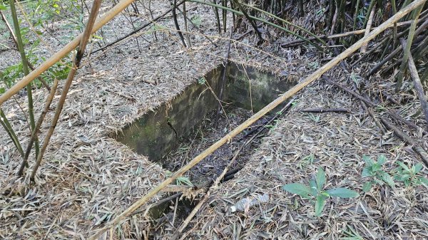 20251124綠峰山莊到天籟-大孔尾步道-南勢湖步道2944098