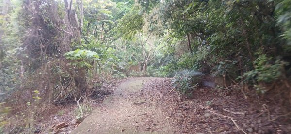 2025 4/5 加奈美山2754447