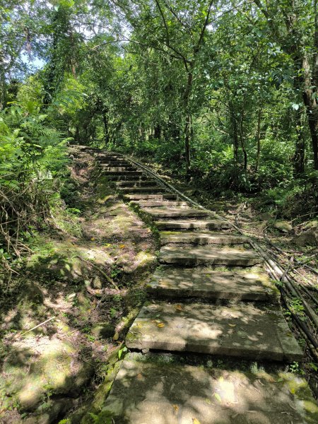 20251010微笑山線：【五分山系】菁桐煤礦段2910193