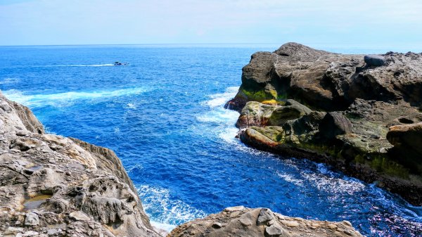 洄瀾東海岸3006670