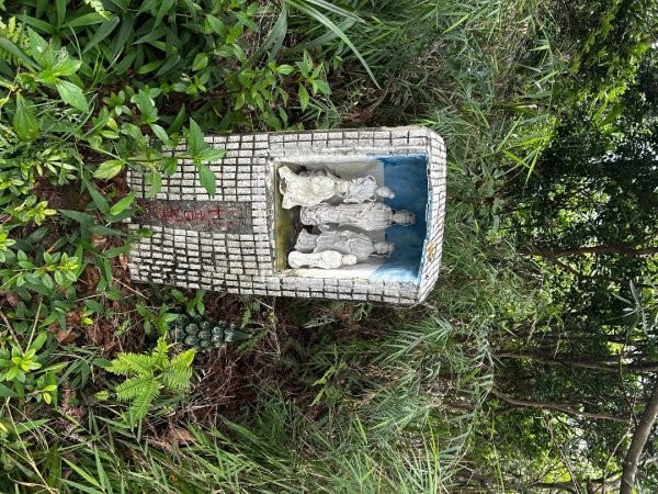 內湖鯉魚山之旅2811733