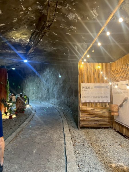 桃園 復興 巴陵隧道3011940