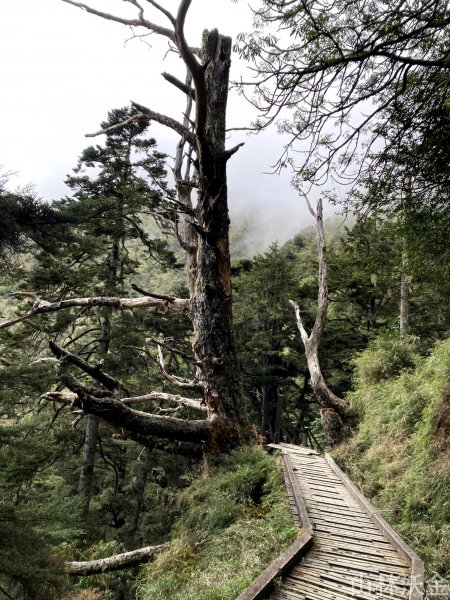 2023-11-27 玉山主峰2365066