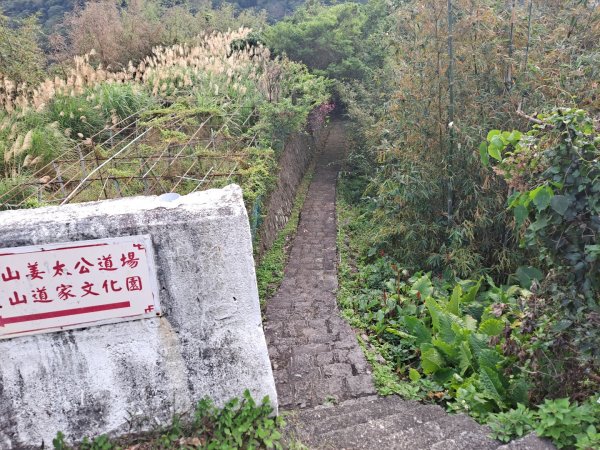 20240201故宮-狗殷勤古道-平菁街賞櫻-溪山百年水圳步道-平菁步道2458468