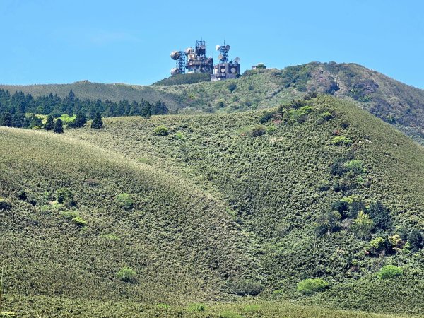 2026年臺北大縱走第三段：小油坑至風櫃口(七星山段)3029524