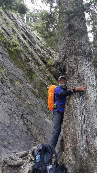 玉山主峰步道 2017 06 27140379