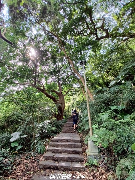 【新北八里】搭捷運公車爬山趣。 小百岳集起來。編號05小百岳-八里觀音山(硬漢嶺步道)1759643