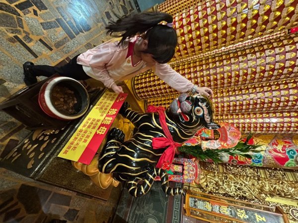 擁抱自然健走趣2843907