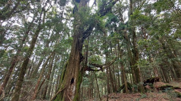 水漾森林完成一趟兩天一夜的野營營地訓練1482437