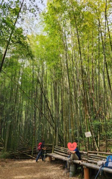 【中級山縱走】最美中級山，鳶嘴西稜縱走（鳶嘴山，醜崠山，長壽山）2741360