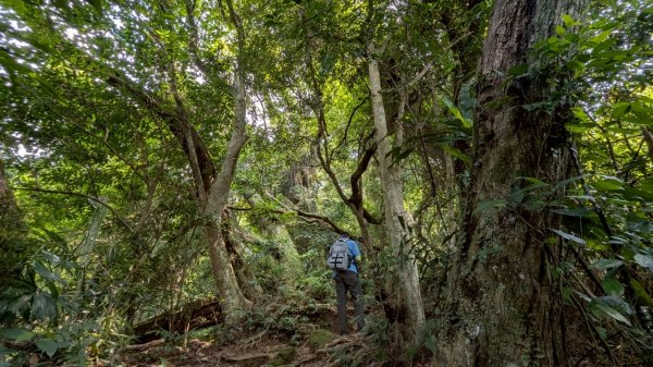 114.08.09溪洲山-新溪洲山之旅2856787