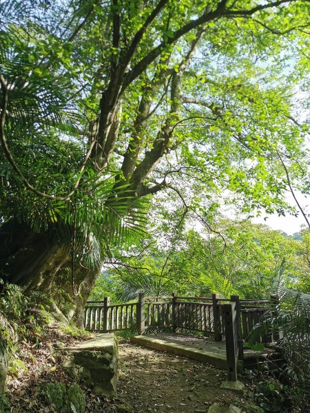 獅頭山風景區 - 漫步參山步道1023028