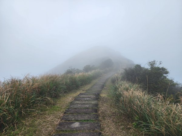 小百岳No.82⛰灣坑頭山3003071