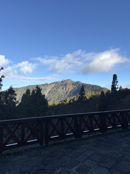 20251225塔山步道(大塔山)2970253