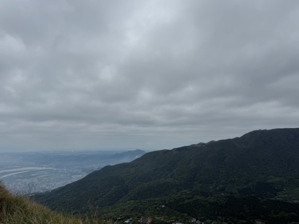1150403塔曼山3033162