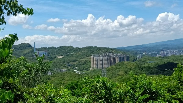 20250914＿五坑山2884114