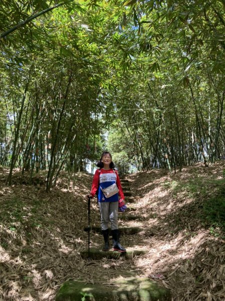 【新北-臺灣百大必訪步道】流水淙淙的三貂嶺瀑布群步道1455418