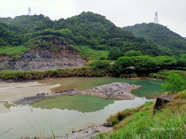 硫磺谷步道→十八份水圳步道→東昇步道→頂湖山→青楓步道→竹子湖【發現陽明山】2159592