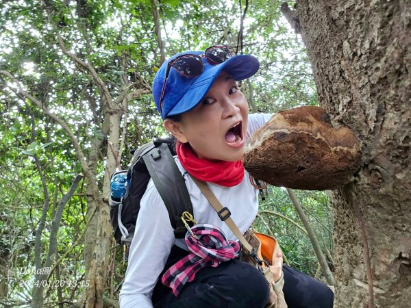 東勢大崙、東勢坑山、觀音湖山O走2986244