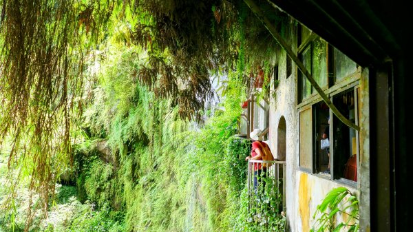 微笑山線銀河洞越嶺段2852825