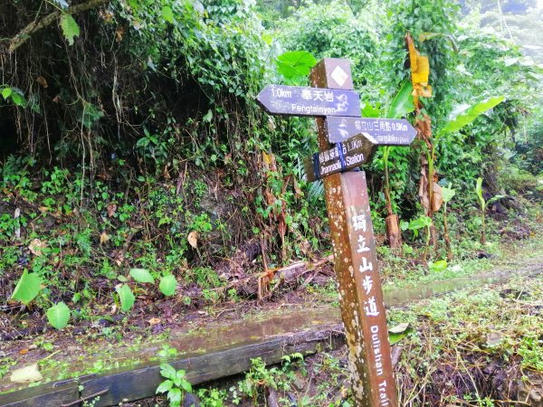 全台獨一無二鐵道相依的登山步道，獨立山738886