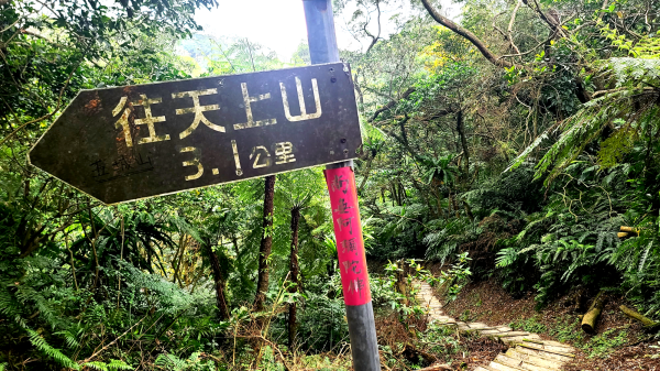 2025-0104 造鎮_五城山_天上山_三粒半_火焰山_慈惠堂_土城大潤發2682121