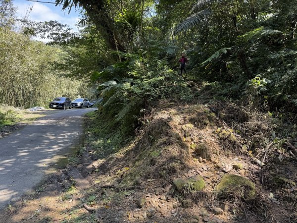 金面山-202503192770616