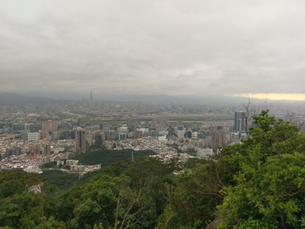 金面山親山步道432109